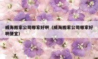 威海搬家公司哪家好啊（威海搬家公司哪家好啊便宜）