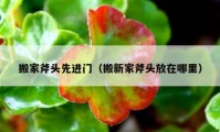 搬家斧头先进门（搬新家斧头放在哪里）