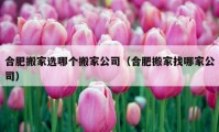 合肥搬家选哪个搬家公司（合肥搬家找哪家公司）