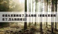 老婆从家里搬走了,怎么挽回（老婆从家里搬走了,怎么挽回老公）