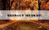 搬家好物小红书（搬家攻略 知乎）