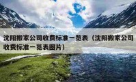 沈阳搬家公司收费标准一览表（沈阳搬家公司收费标准一览表图片）