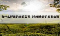 有什么好用的搬家公司（有哪些好的搬家公司）