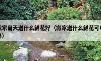 搬家当天送什么鲜花好（搬家送什么鲜花可以吗）