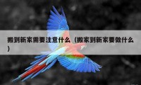 搬到新家需要注意什么（搬家到新家要做什么）