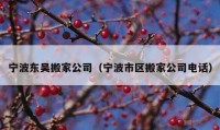 宁波东吴搬家公司（宁波市区搬家公司电话）