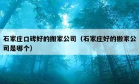 石家庄口碑好的搬家公司（石家庄好的搬家公司是哪个）