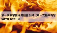 第一次搬家新冰箱放什么好（第一次搬家新冰箱放什么好一点）